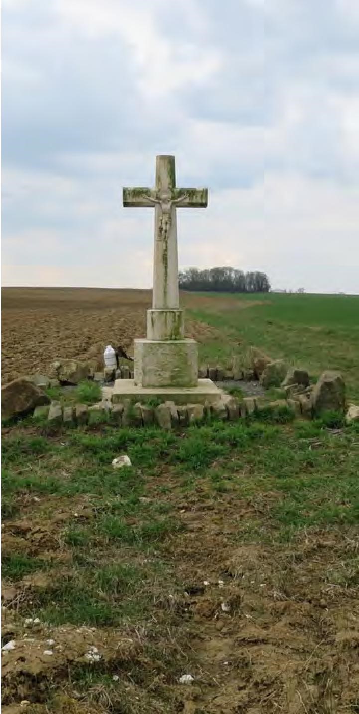 Hardicourt cross